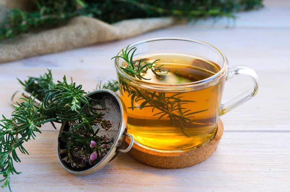 فروش عمده رزماری خشک با کیفیت ممتاز صادراتی